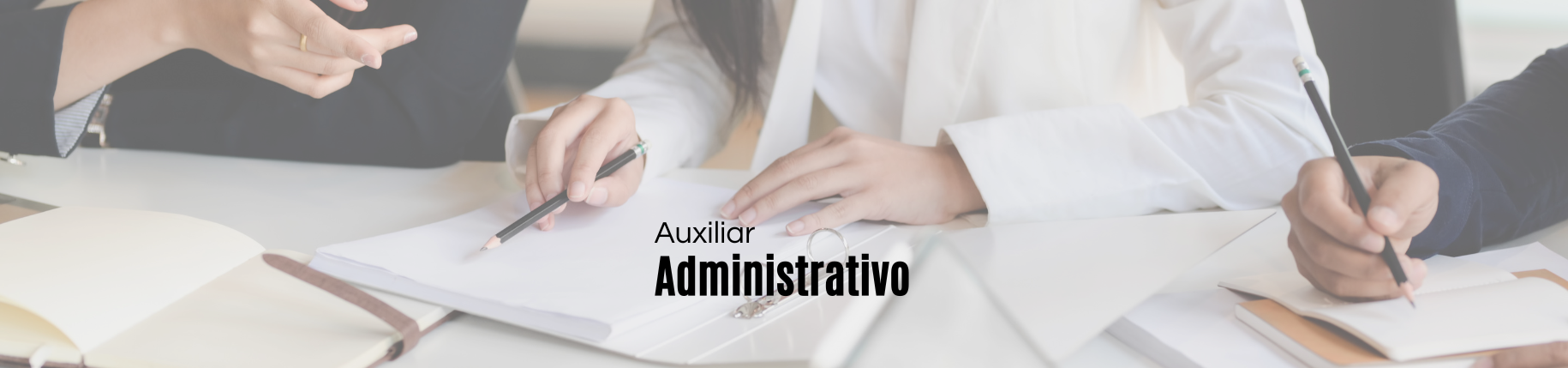 Administrativo  038.png